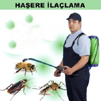 Aksu Böcek İlaçlama